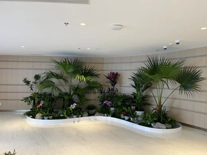 体验奉化绿植租赁设计，享受绿色带来的美好